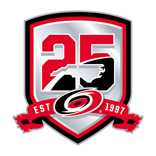 25th anniversary logo