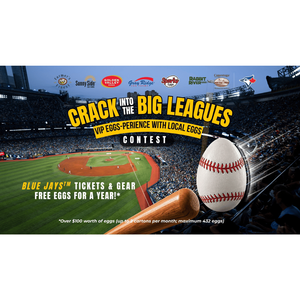 CRACK INTO THE BIG LEAGUES CONTEST