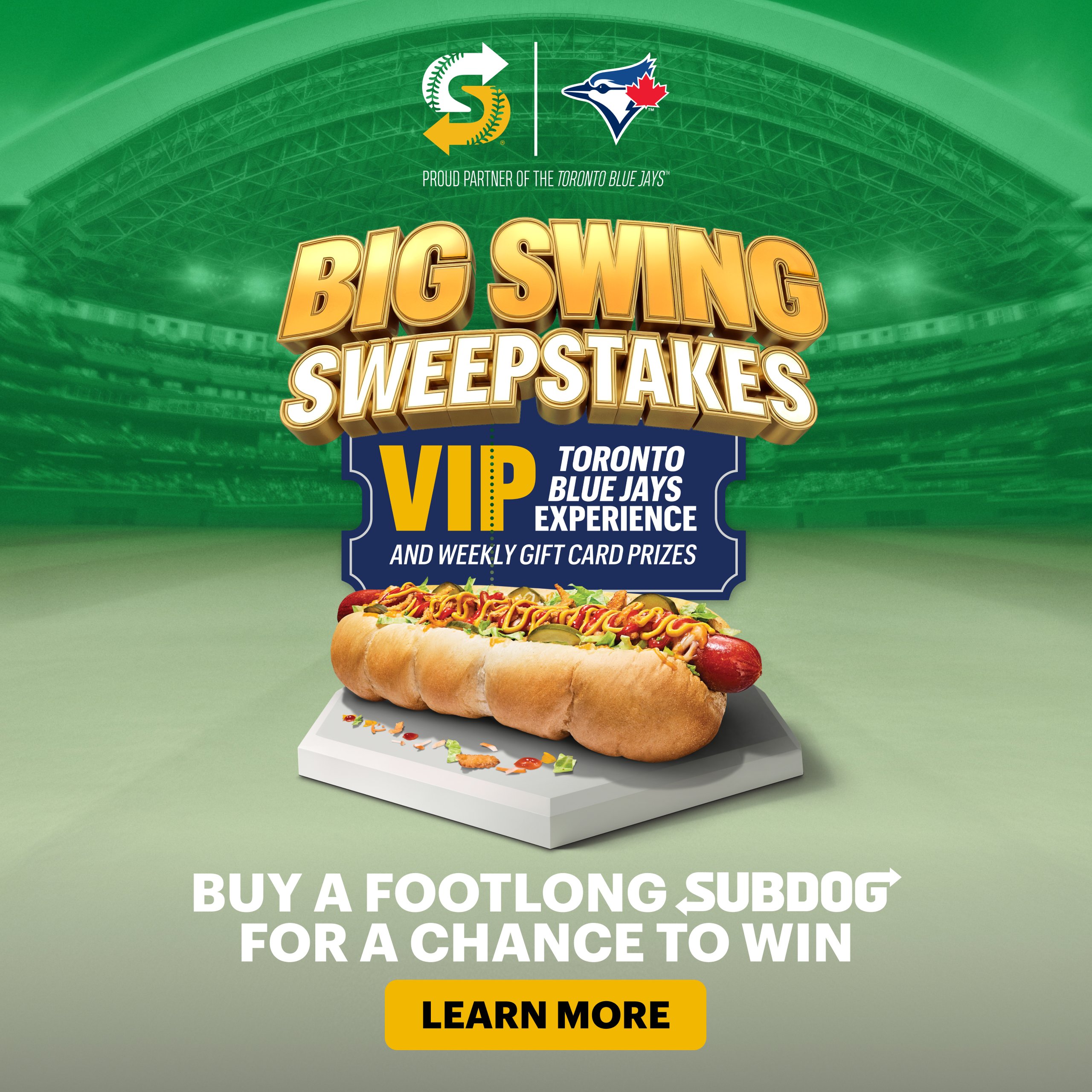 SUBWAY® SUBDOG BIG SWING SWEEPSTAKES