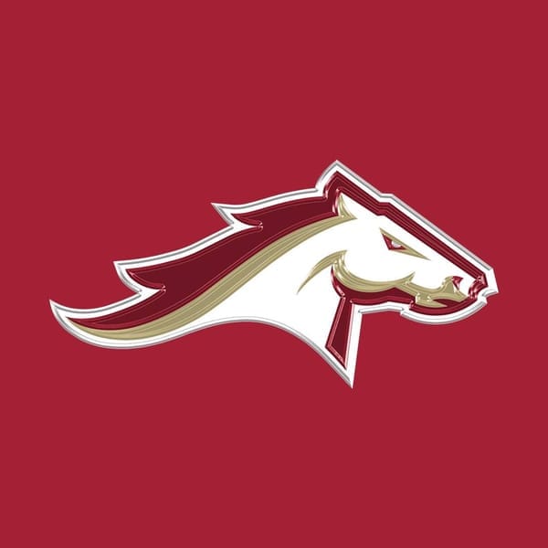 Birmingham Stallions logo