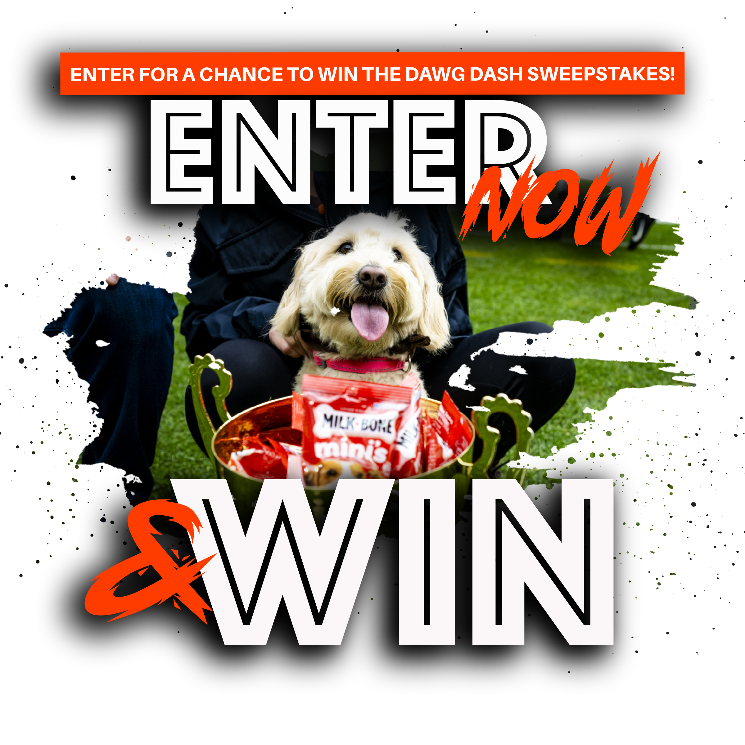 Milk-Bone: Dawg Dash Sweepstakes