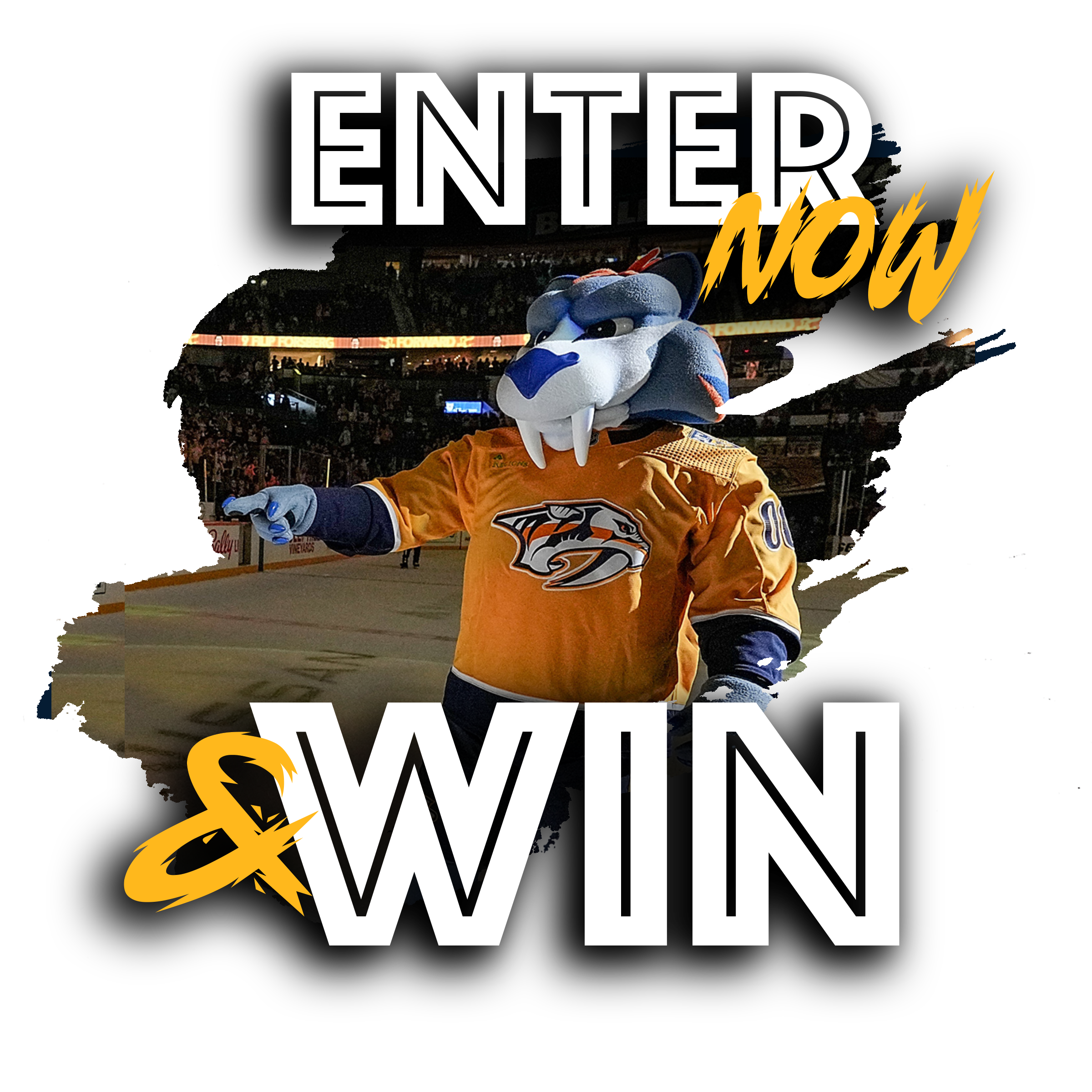 Electronic Express Sweepstakes