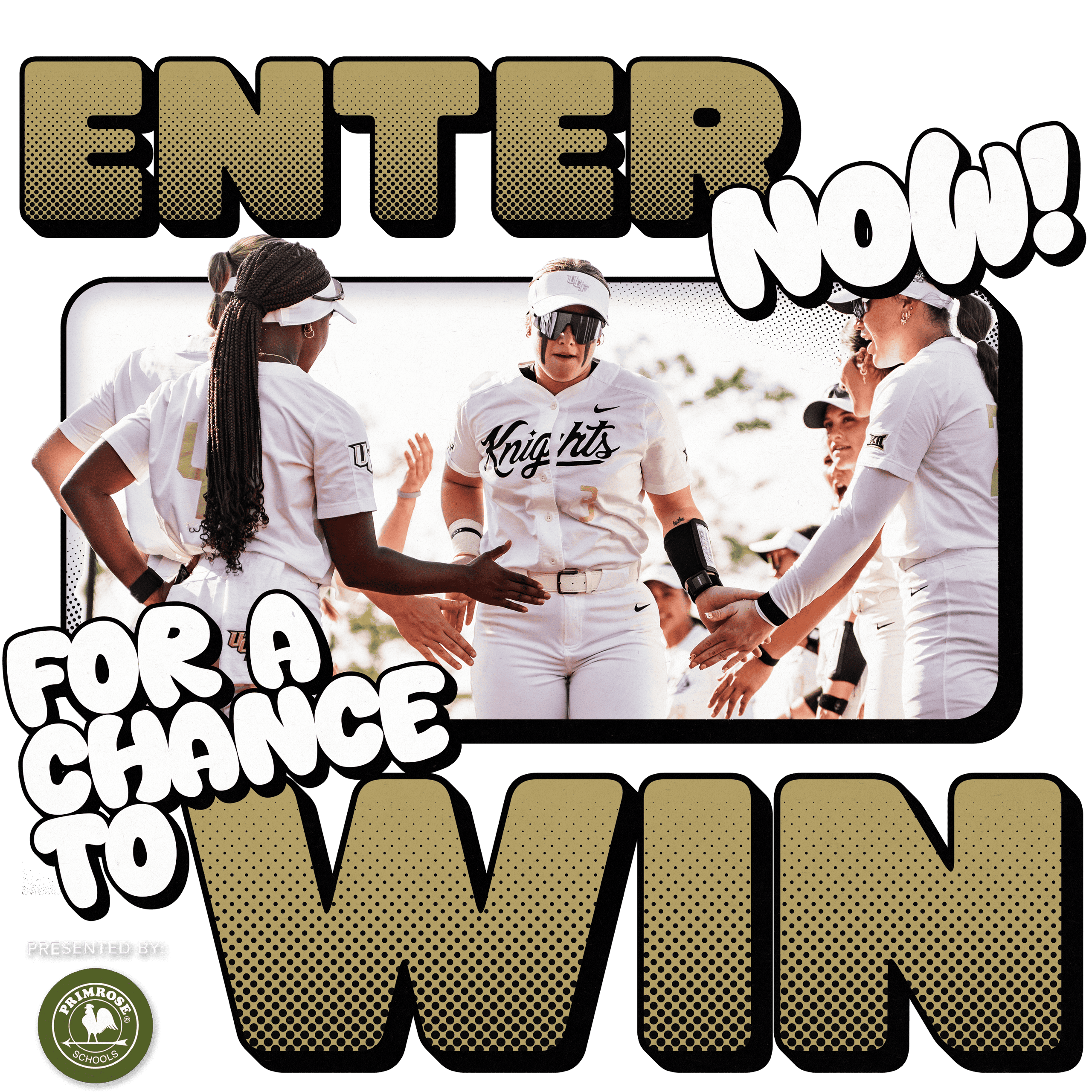 Knightro VIP Kid Experience Softball