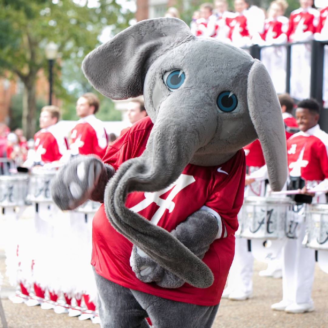 “Elephant Stomp” Pep Rally