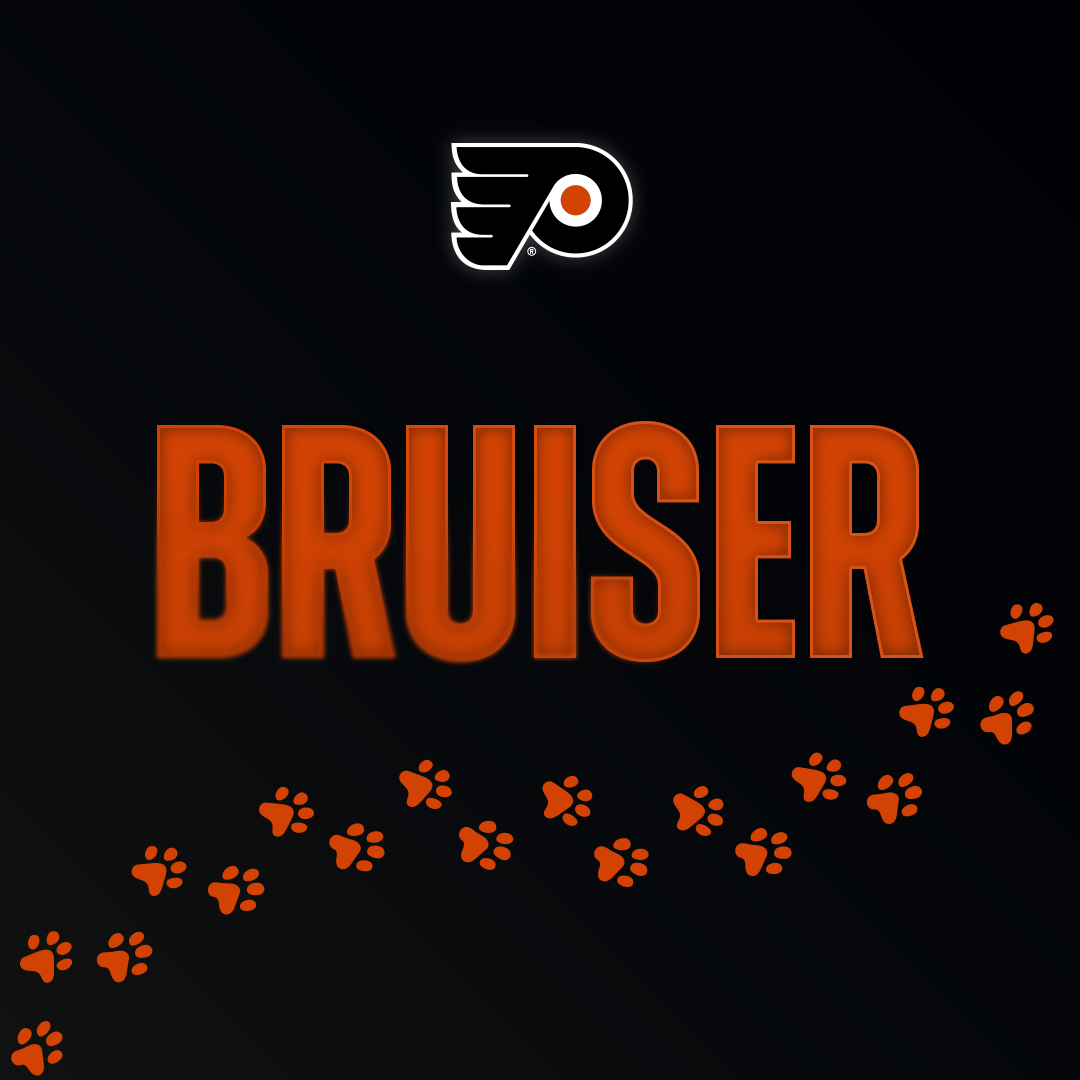 Bruiser