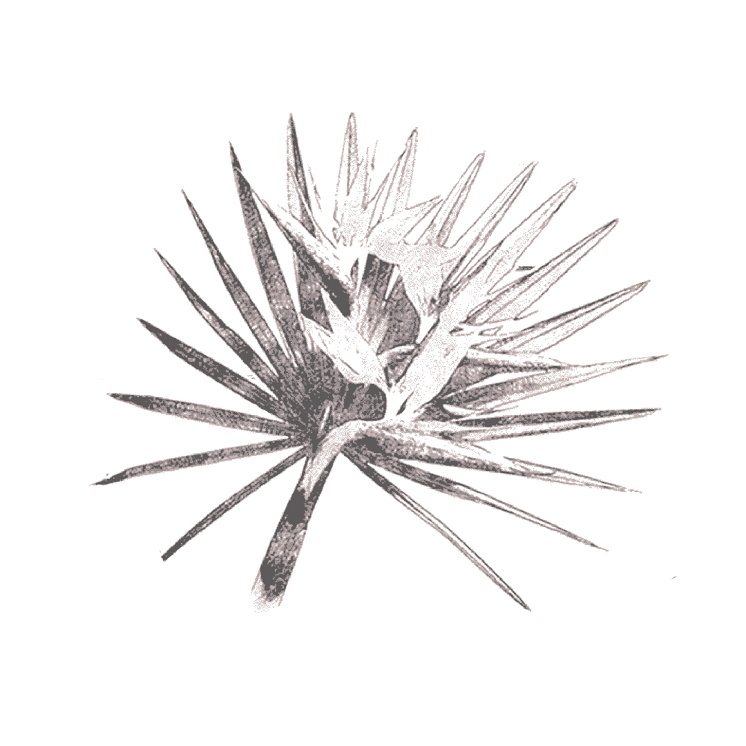 Feathering