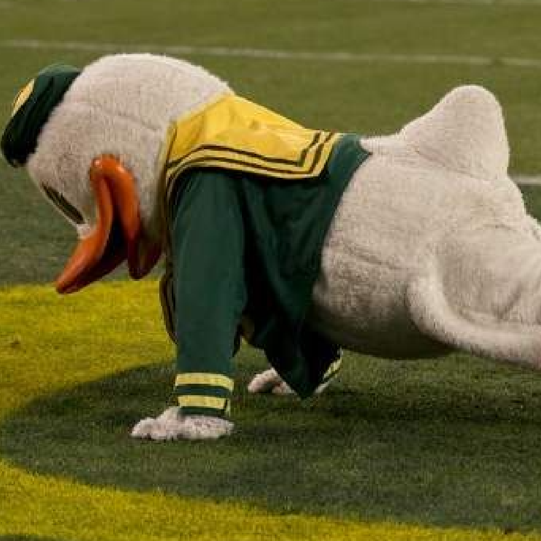 The Duck’s Pushups