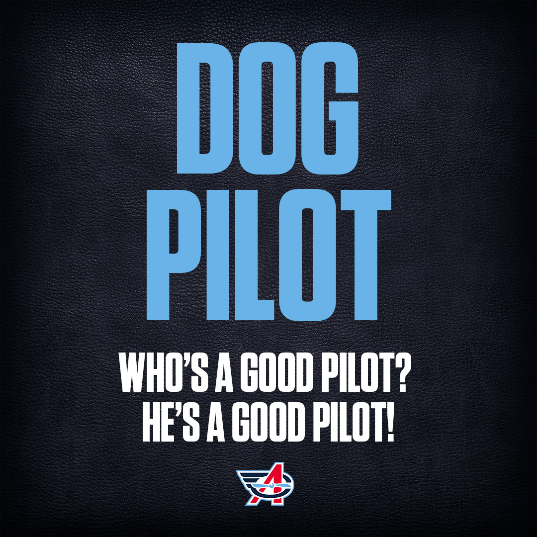 Dog Pilot