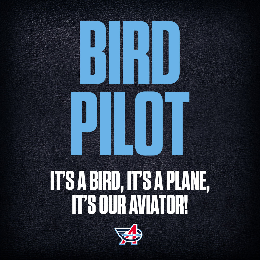 Bird Pilot