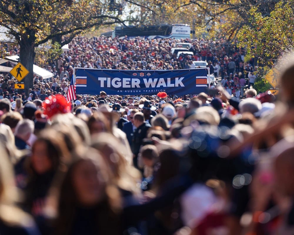 Tiger Walk