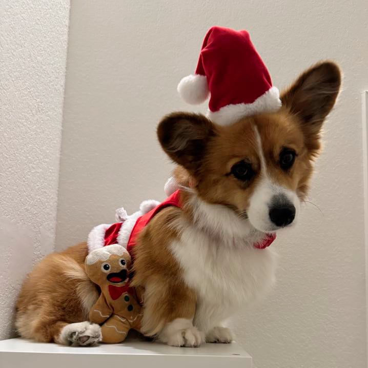 Penny