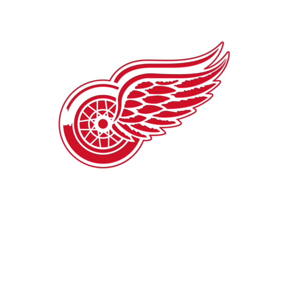 3/7 vs. Detroit Red Wings