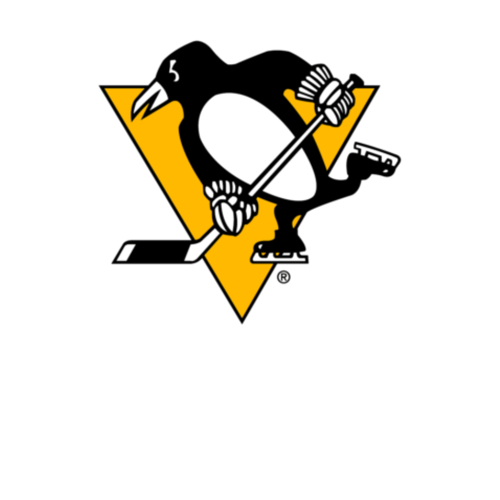 2/22 vs. Pittsburgh Penguins