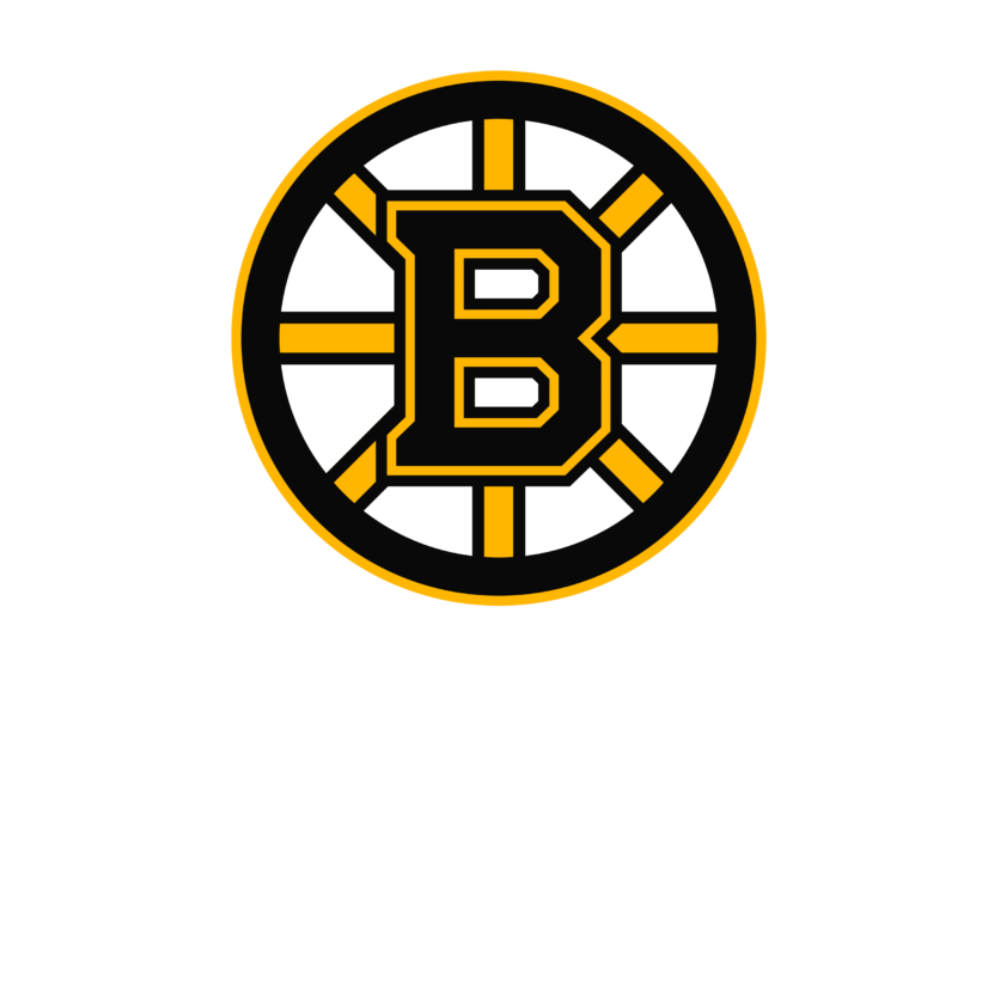 4/1 vs. Boston Bruins